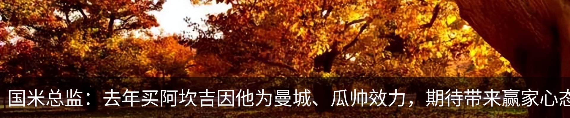 行业资讯